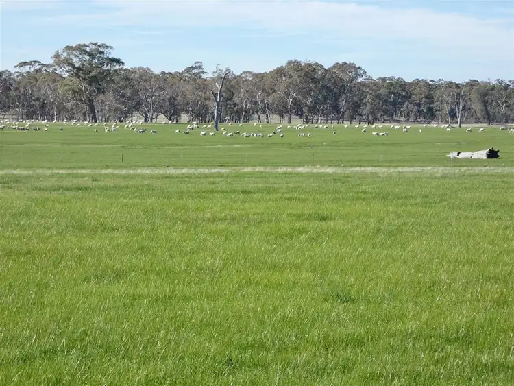 Third view of Homely rural property listing, . via Hobbs Road, Toolondo VIC 3401