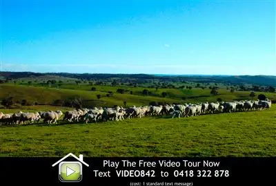 Main view of Homely rural property listing, 387 Bigga Road, Binda NSW 2583