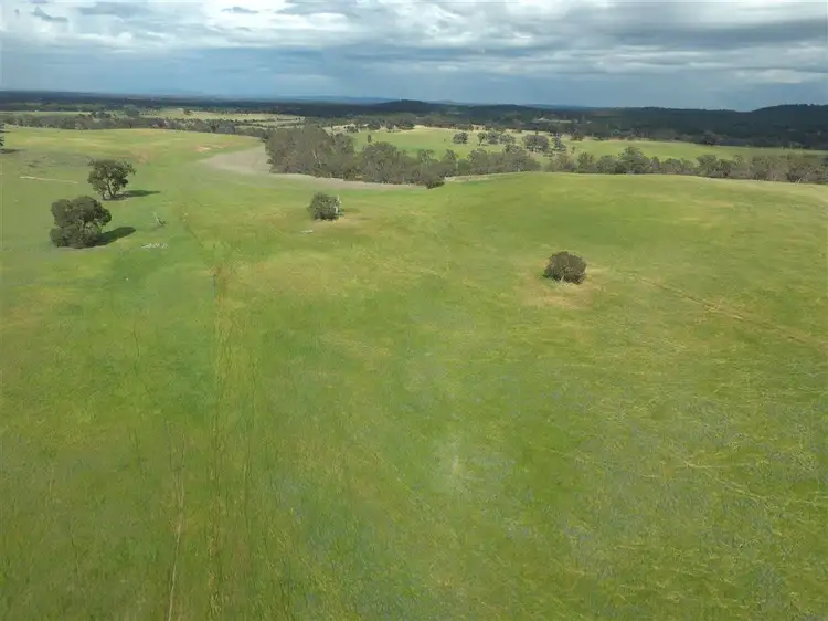 Seventh view of Homely rural property listing, 413 BROWNES LANE, Axedale VIC 3551