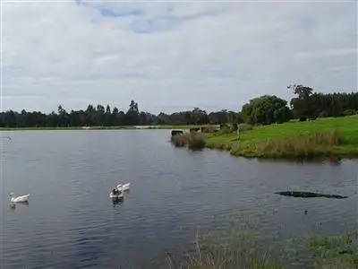 Sixth view of Homely rural property listing, 138 Double Bridges Road, Northcliffe WA 6262
