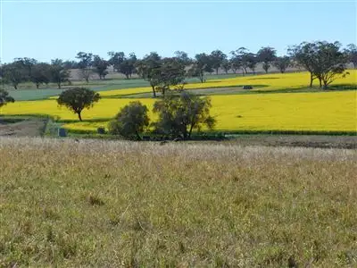 Third view of Homely rural property listing, . "The Racecourse" Racecourse Rd, Borambil via, Cassilis NSW 2329