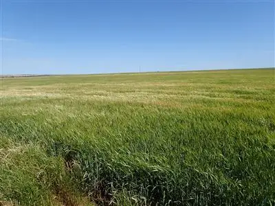Third view of Homely rural property listing, A347 Yorke Highway, Curramulka SA 5580