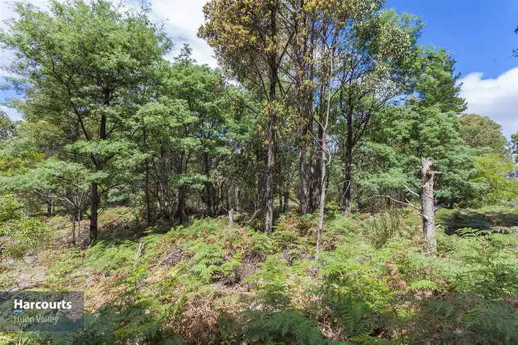 Main view of Homely land listing, RA Fyfes Road, Mountain River TAS 7109