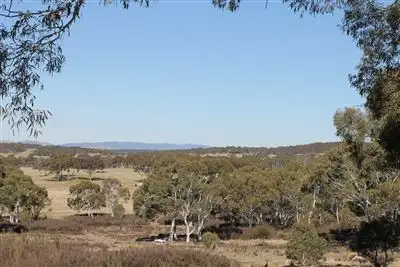 Fifth view of Homely rural property listing, 1017 Bombay Road, Braidwood NSW 2622