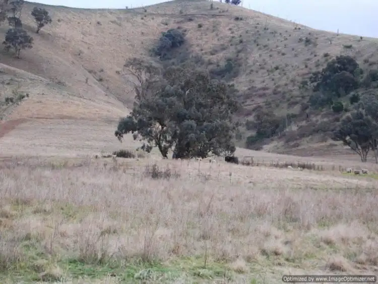 Fifth view of Homely rural property listing, 7415 Great Alpine Road, Swifts Creek VIC 3896