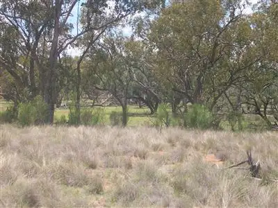 Third view of Homely rural property listing, . "Ardgour", Cunnamulla QLD 4490