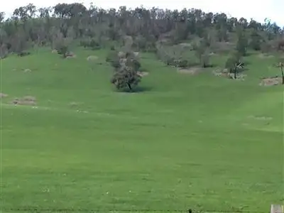 Fifth view of Homely rural property listing, 3492 Yea Whittlesea Road, Flowerdale VIC 3717