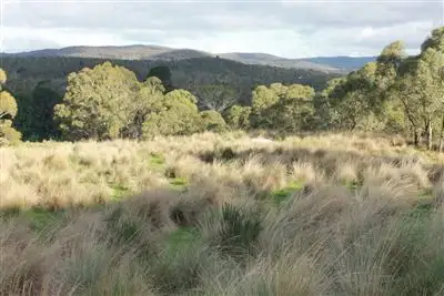 Sixth view of Homely rural property listing, 298 Mount Elrington Road, Braidwood NSW 2622