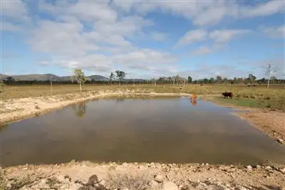 Lot 1 Ryans Road, Calcium, Woodstock QLD 4816