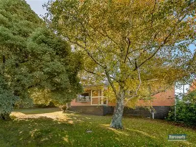 Third view of Homely house listing, 232 Main Neerim Road, Neerim South VIC 3831