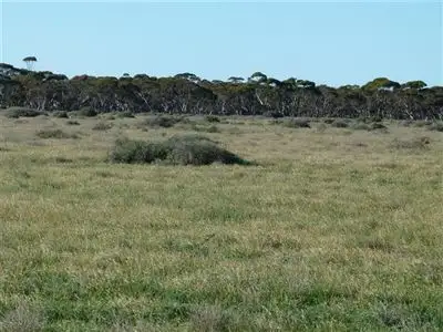 Seventh view of Homely rural property listing, Lot 737 Linkes Woolshed Road, Steinfeld via, Truro SA 5356