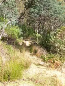 Fourth view of Homely land listing, Lot 1 Church Road, Dromedary TAS 7030