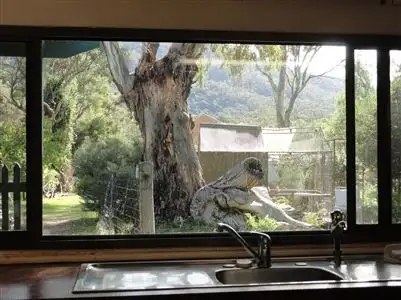 Sixth view of Homely house listing, 7 Bishop Street, Melrose SA 5483