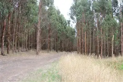 Third view of Homely rural property listing, . Bucks Road, Scotts Creek VIC 3267