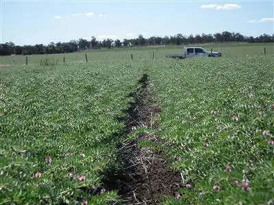 Fifth view of Homely rural property listing, 1312 McLeods Rd, Tara QLD 4421