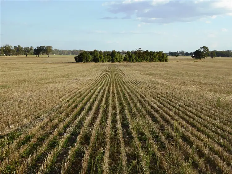 Third view of Homely rural property listing, 57 Nulla Nulla Road, Corowa NSW 2646