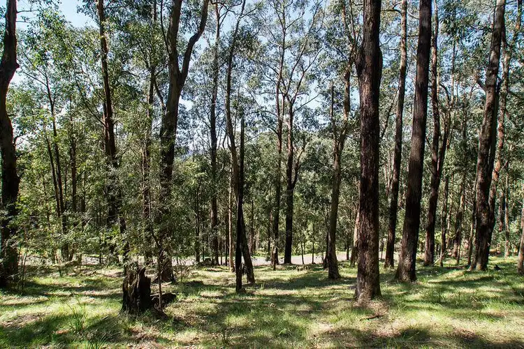 Main view of Homely land listing, 6 Janesdell Avenue, Ferny Creek VIC 3786