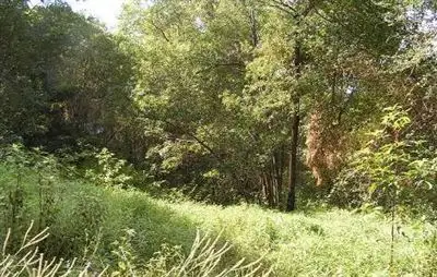 Sixth view of Homely land listing, 13 Bromfield Drive, Bonogin QLD 4213