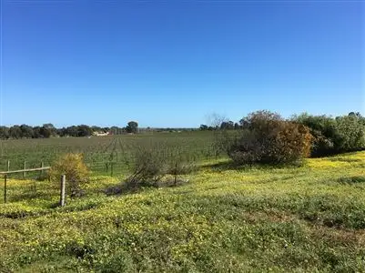 Third view of Homely house listing, 61 High Street, Rutherglen VIC 3685