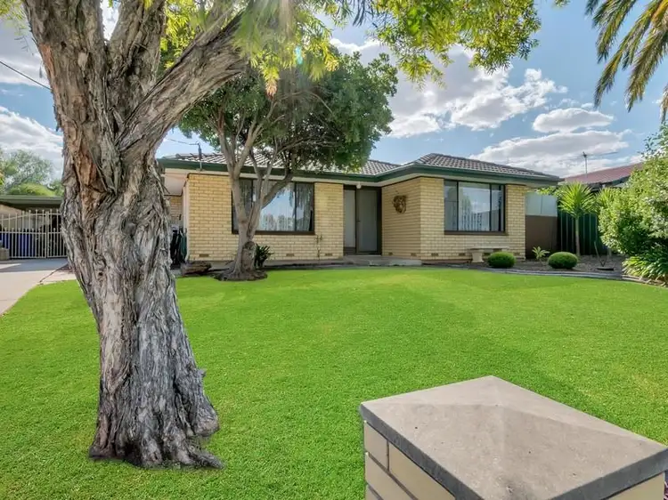 22 Hargrave Street, Modbury Heights SA 5092