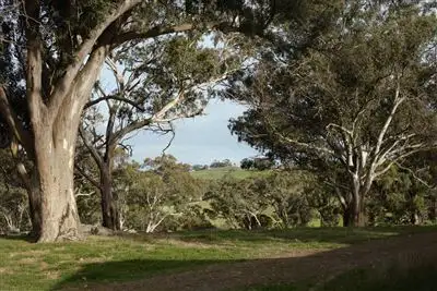 Fifth view of Homely rural property listing, 320 Scottsburn Road, Woodside SA 5244