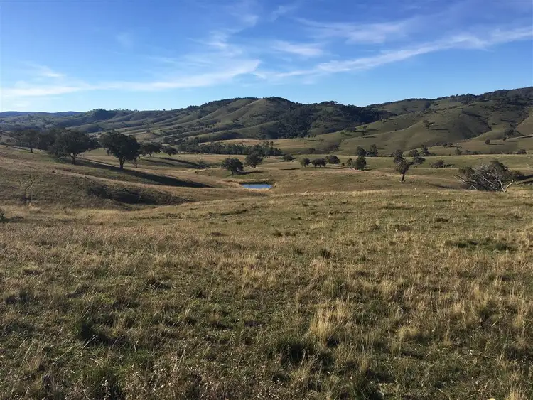 Main view of Homely rural property listing, L194/1191 Campbells Creek Rd, Mudgee NSW 2850