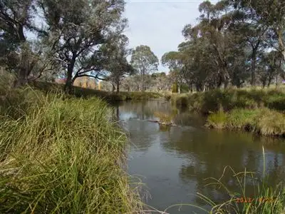 Fifth view of Homely rural property listing, 3339 Niangala Road, Walcha NSW 2354