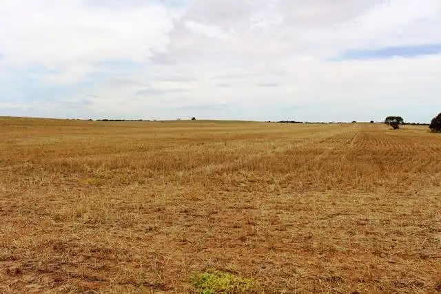 Seventh view of Homely rural property listing, . John Road, Walpeup VIC 3507