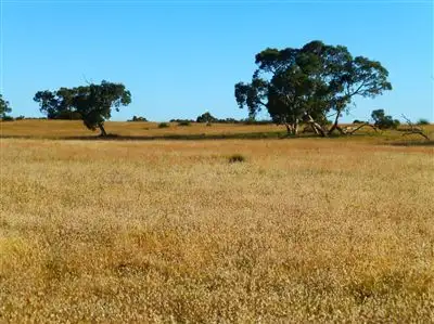 Fifth view of Homely rural property listing, . Bunbury Road, Keith SA 5267