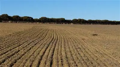 Fourth view of Homely rural property listing, 2641 Starcevich Chapman Road, Muntadgin WA 6420