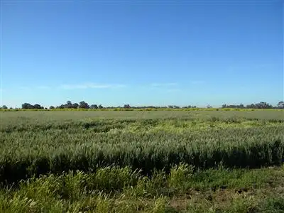 Third view of Homely rural property listing, 229a Bora Swamp Road, Boort VIC 3537