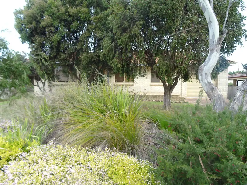 Main view of Homely house listing, 40 Jarrah Road, Manjimup WA 6258