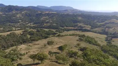Fourth view of Homely rural property listing, Daley's Middlebrook Rd, Scone NSW 2337