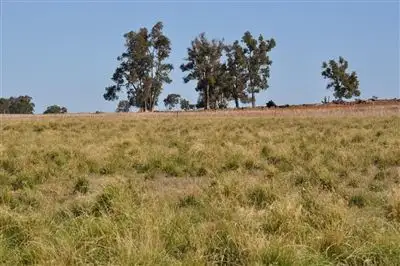 Sixth view of Homely rural property listing, Address available on request