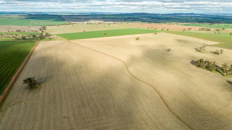 Third view of Homely rural property listing, The Village, East Millwood Road, Wagga Wagga NSW 2650