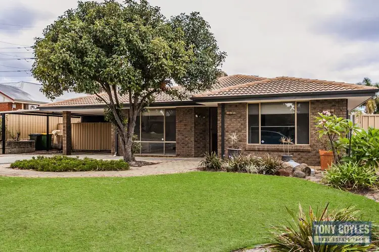 Main view of Homely house listing, 5 Windmill Drive, Bibra Lake WA 6163