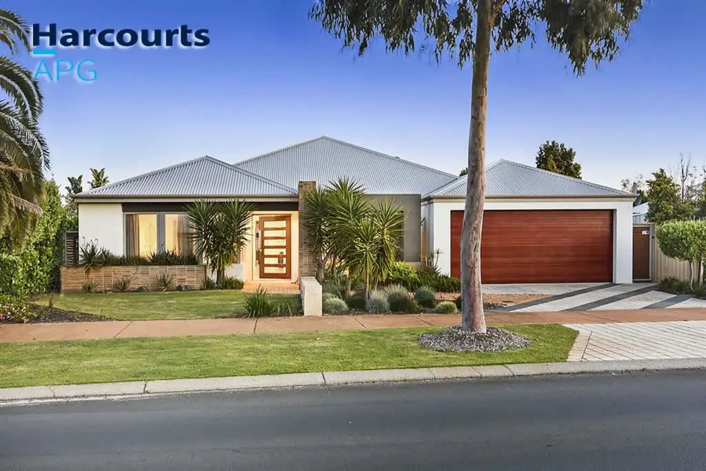 Main view of Homely house listing, 56 Millbridge Blvd, Millbridge WA 6232