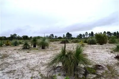 Fifth view of Homely rural property listing, 170 Tangletoe Road, Gingin WA 6503