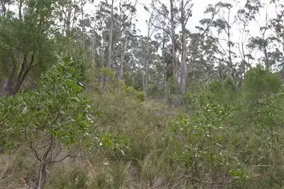 Fifth view of Homely land listing, 323A Tinderbox Road, Tinderbox TAS 7054