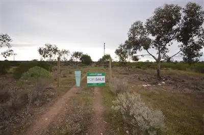Seventh view of Homely rural property listing, 5416 Murraylands Drive, Swan Reach SA 5354