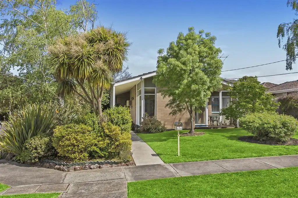 Main view of Homely house listing, 6 Munro Avenue, Mount Waverley VIC 3149