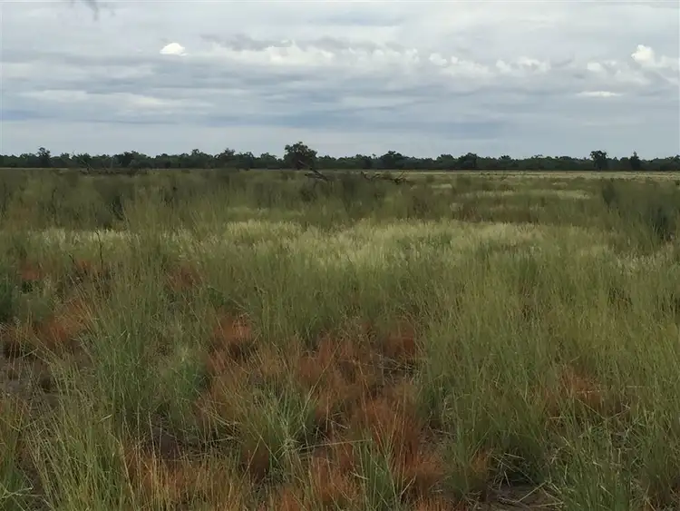 Fourth view of Homely rural property listing, Address available on request