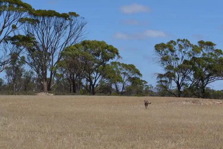 Seventh view of Homely land listing, Lot 395 Cooalling Road, Cunderdin WA 6407