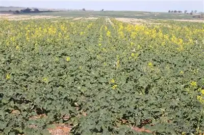 Third view of Homely rural property listing, Address available on request