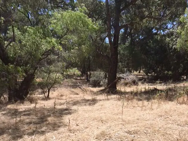 Seventh view of Homely rural property listing, 115 Clifton Downs Road, Herron WA 6211