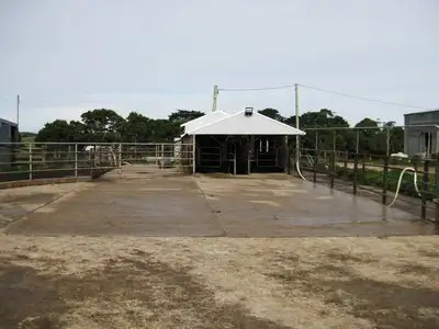 Main view of Homely rural property listing, 27444 Bass Hwy, Marrawah TAS 7330