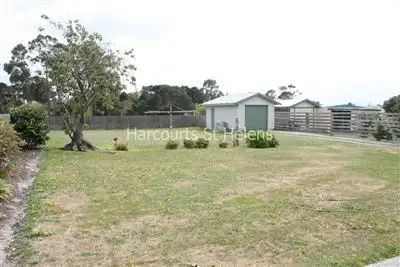 Fourth view of Homely house listing, 14 Quail Street, St Helens TAS 7216