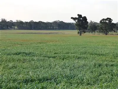 Third view of Homely rural property listing, 765 Wonwondah Dadswells Bridge Rd, Laharum VIC 3401