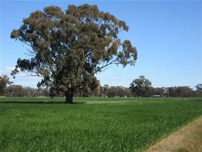 Second view of Homely rural property listing, 18 Lewis Road, Miepoll VIC 3666