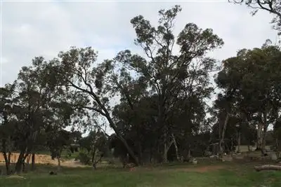 Sixth view of Homely land listing, lot 6 Blackboygully Road, Wandering WA 6308